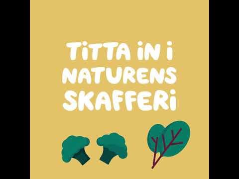 Balans & Hälsa | Grönt är skönt