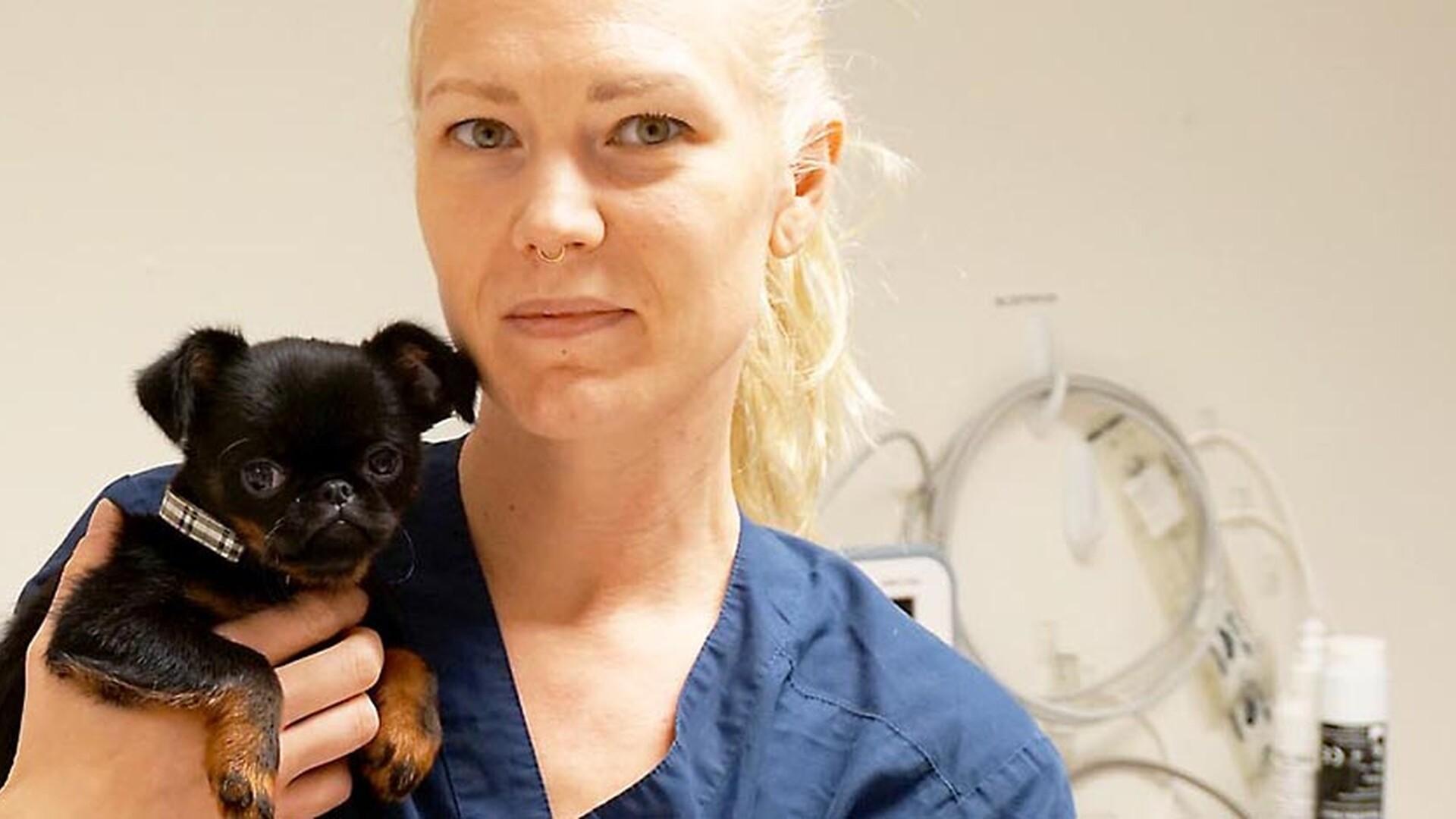 Kvinnlig djursjukskötare håller i en liten hund.