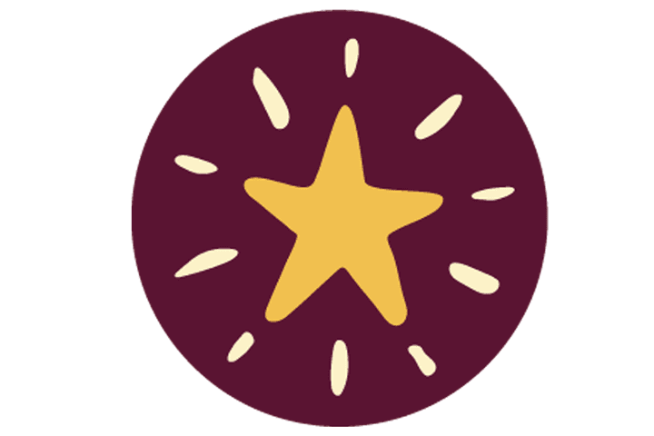 Illustration som föreställer en gul stjärna i vinröd cirkel.