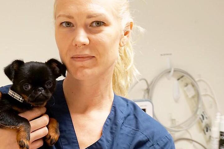 Kvinnlig djursjukskötare håller i en liten hund.